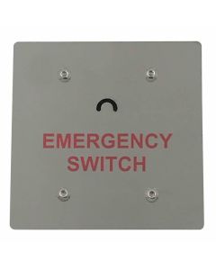 SRS Flush Stainless Steel Fire Brigade Housing with Crescent Key
