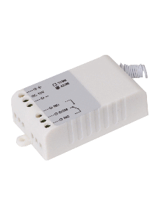 RGL Portable Remote Wireless Radio Receiver