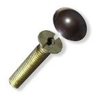 Entryphone Door unit fixing screw and dome