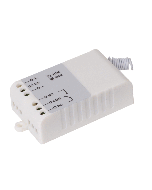 RGL Portable Remote Wireless Radio Receiver